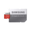 Picture of Samsung EVO Plus 256GB microSDXC 