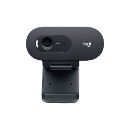 Picture of Logitech C505 HD Webcam with Long Range Microphone